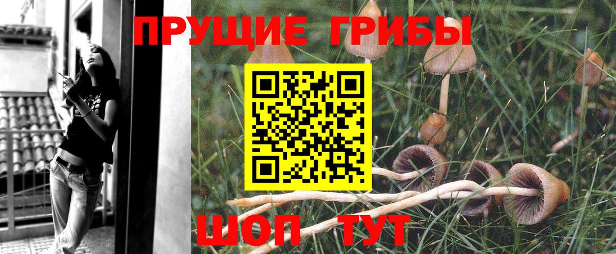 Псилоцибиновые грибы ЛСД Чебаркуль