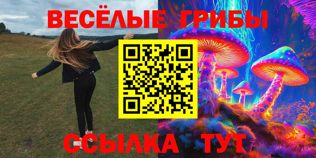 Псилоцибиновые грибы Psilocybine cubensis  Вход с VPN  Чебаркуль  Псилоцибиновые грибы Magic Shrooms 